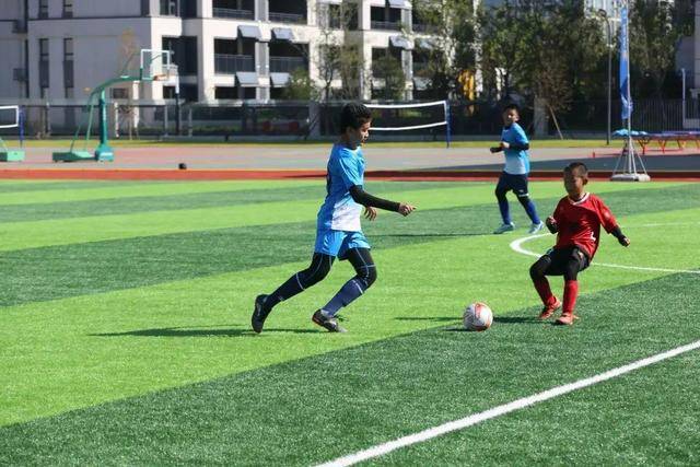 鄢手骐16+8+6辽宁不敌青岛 张陈治锋15+10